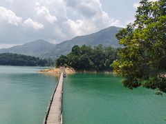 -广州市流溪河国家森林公园
