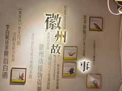 -中国徽菜·徽商故里(罍街店)