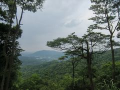 -广州市帽峰山景区