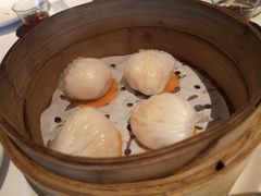 云南野菌素饺-三号黄浦会Canton Table