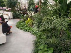 -兰陵国家农业公园