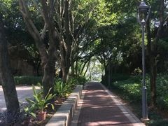 -金鸡山公园