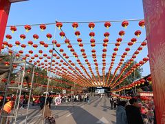 -中国红海