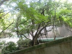 CIMG0556-乌山风景区