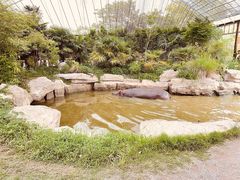 -上海野生动物园