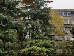 -西安外国语大学(雁塔校区)