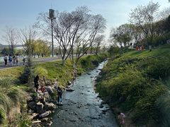 -羊山湖公园