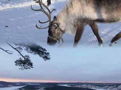 -北极村旅游风景区