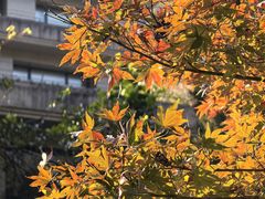 -天明山温泉大酒店