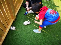 -萌宠亲子动物乐园(槐房万达店)