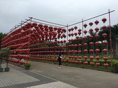 -华侨公园