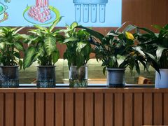 -黄饷·咖喱蛋包饭(奥城店)