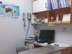 -丹景宠物医院·全科·老年病·牙科(武昌诊疗中心)