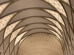 -乐天免税店(明洞店)