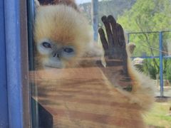 -大连森林动物园