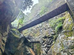 -牛背梁国家森林公园
