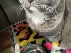 -甄爱宠物医院(疏影路店)