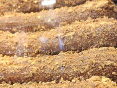 -西树泡芙(静安大悦城店)