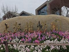 -上海植物园-4号门售票处