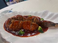 -丁老爷子苏香圆