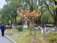 -华东政法大学(松江校区)