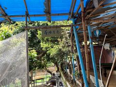 -大屏嶂森林公园