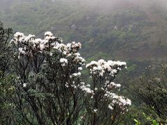 -广东天露山旅游度假区