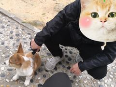 -火炉山森林公园