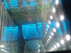 -重庆梵高星空艺术馆(解放碑旗舰店)