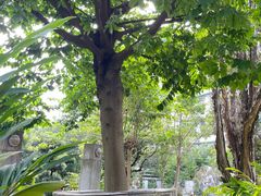 -广州神农草堂中医药博物馆