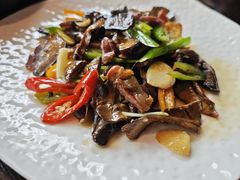 -滇野云南野生菌餐厅(陕西南路店)