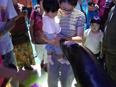 -烟台海昌鲸鲨海洋公园