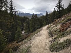 -阿萨巴斯卡瀑布观景点