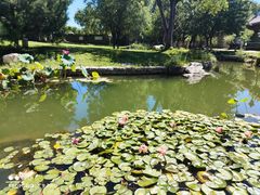 -三里河公园