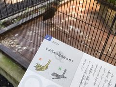 -井之头恩赐公园