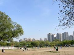 -太阳宫公园