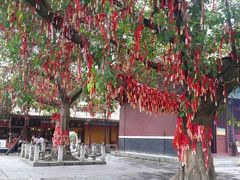 -南国桃园旅游度假区