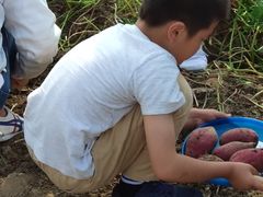 -乡乐园蟹庄·阳澄湖农家乐