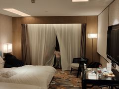 -扬州绿地铂骊酒店
