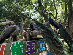 -宁波野生动物园