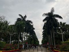 -万绿园