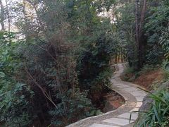 -仙岳公园