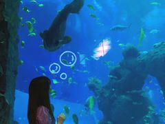 -成都浩海立方海洋公园