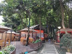 -二荆条·蜀鲜汇城市森林火锅