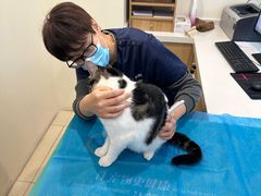 -美迦爱-牙专科·兔科·骨科诊疗中心(北苑店)