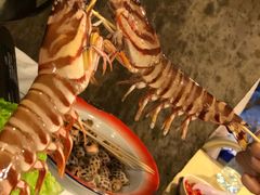 -鲜入围煮花胶鸡海鲜火锅