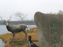 -溱湖国家湿地公园