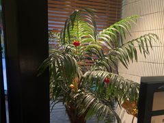 -涟LIAN·泰式按摩·MASSAGE·SPA(华强北店)
