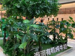 -鹏欣水游城