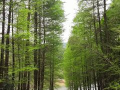 -广州市白云山风景名胜区